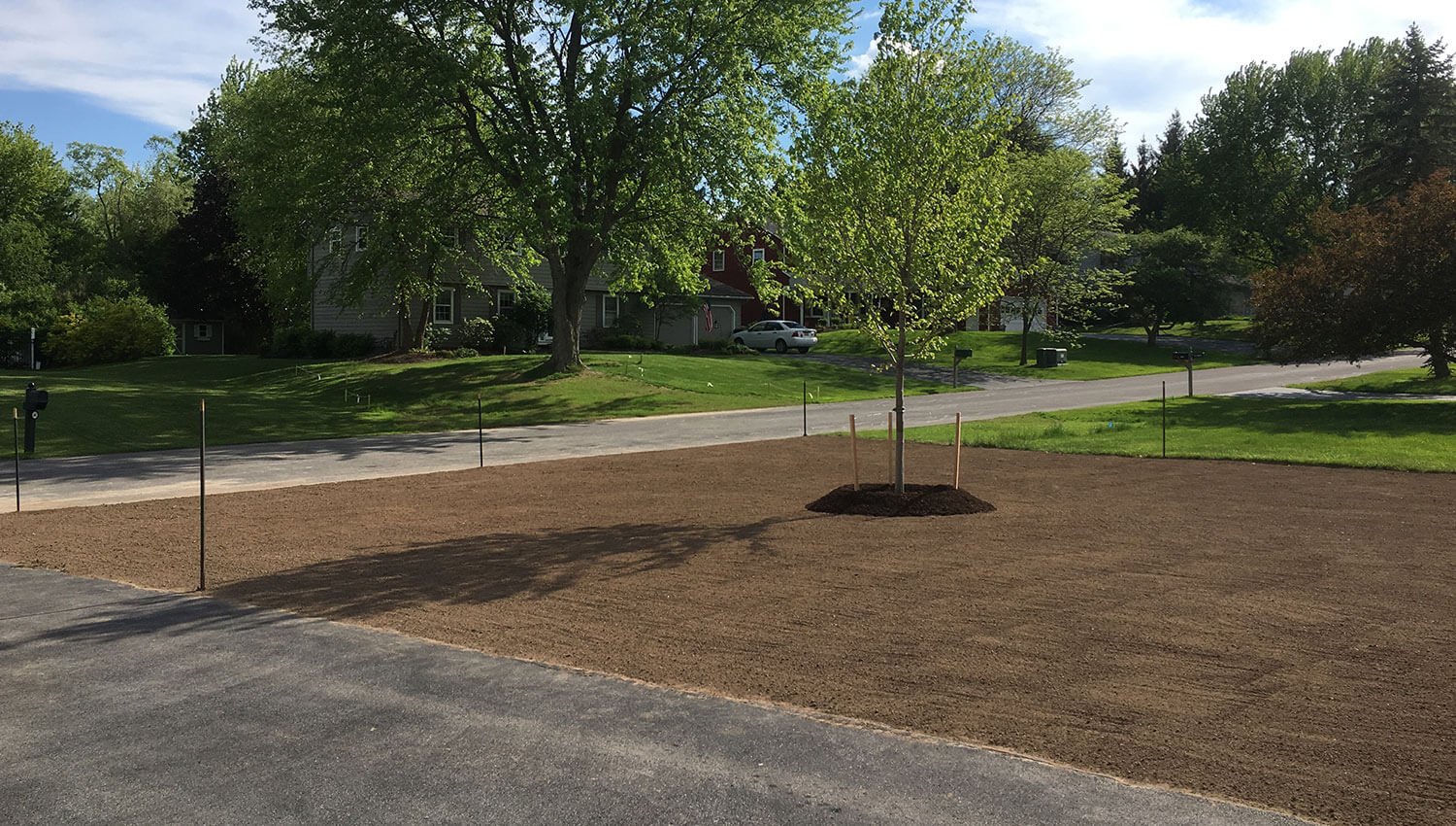 final grading and planting completion