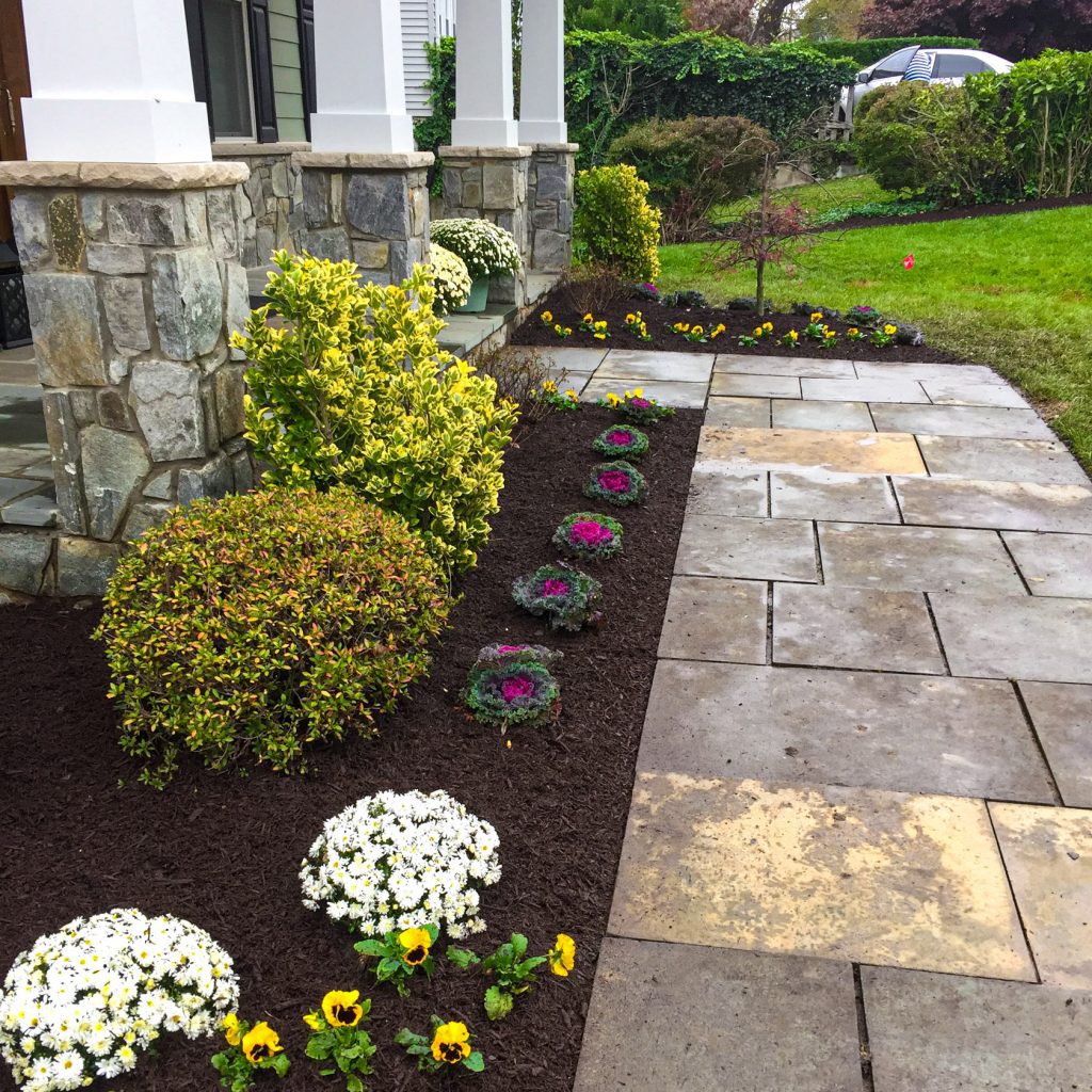 required tree and shrub planting