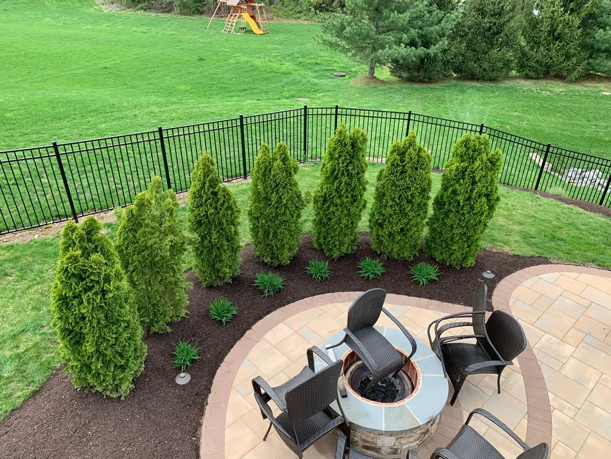 required tree and shrub planting